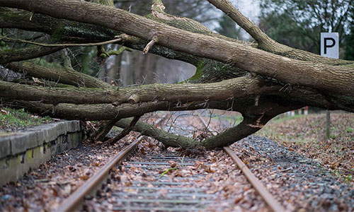 El temporal de viento y nieve deja diez muertos en el centro de Europa